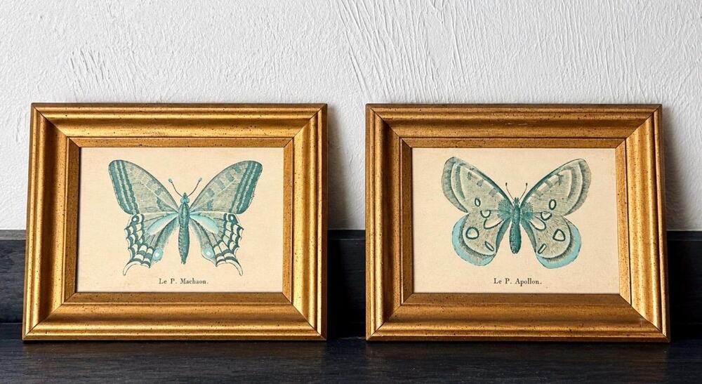 Vintage French Butterfly Prints Pair | Machaon & Apollon Entomology Art